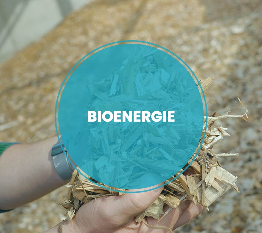 bioenergie