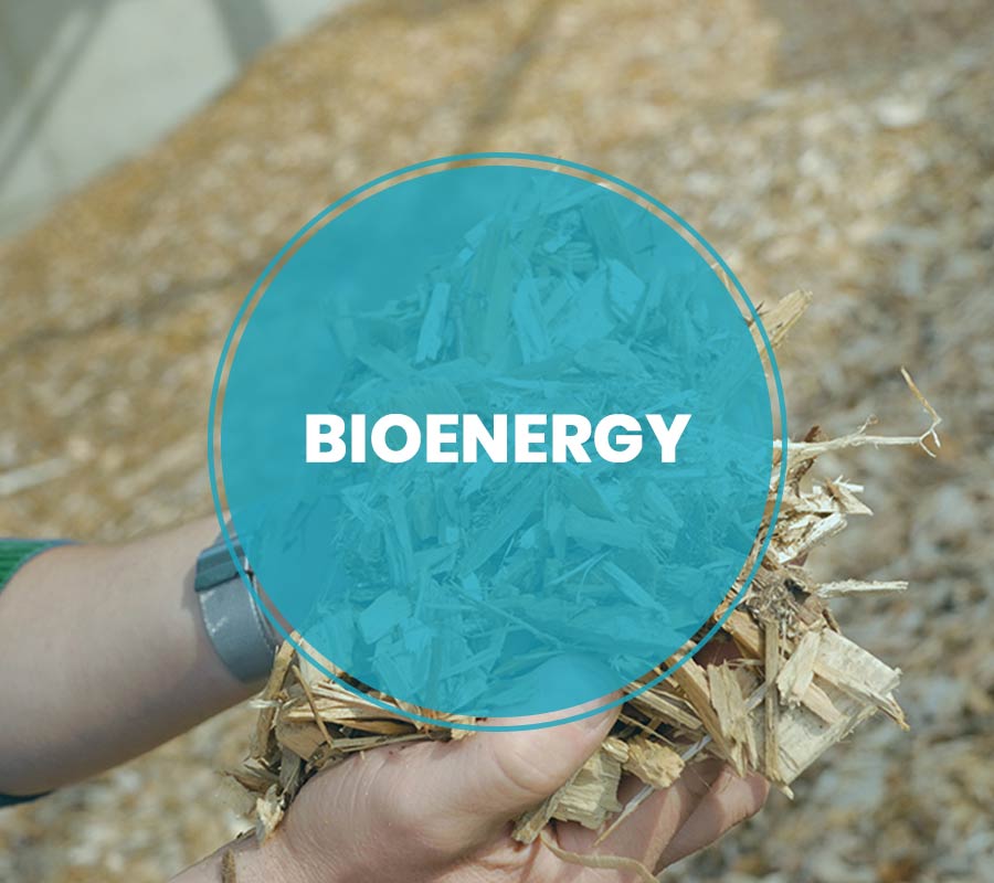 bioenergy