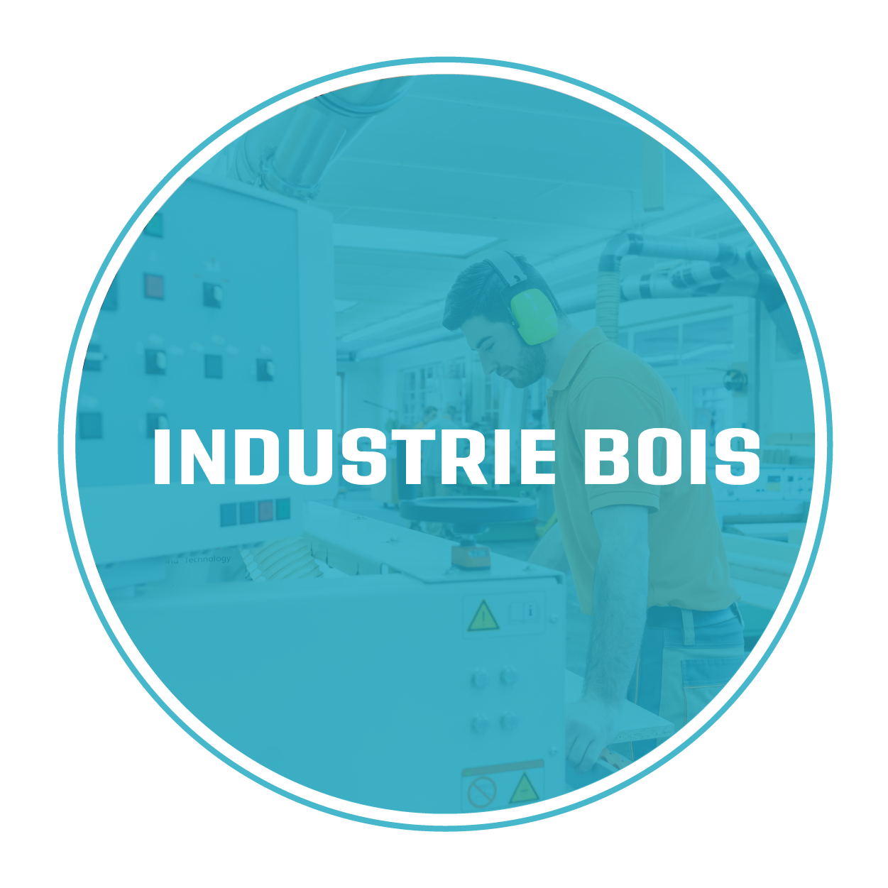 Industrie du bois